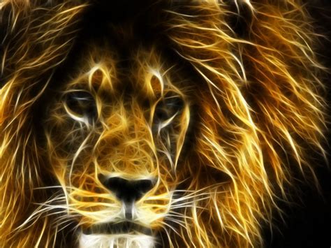 3d Lion Wallpapers Top Free 3d Lion Backgrounds Wallpaperaccess