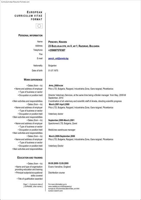 German Cv Template Pdf Pdf Template