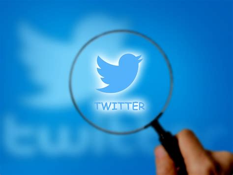 The Anna Paul Twitter Leak: The ULTIMATE Guide!
