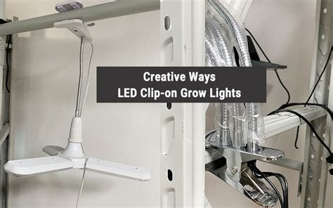 Best Way To Hang Grow Lights From Ceiling Shelly Lighting