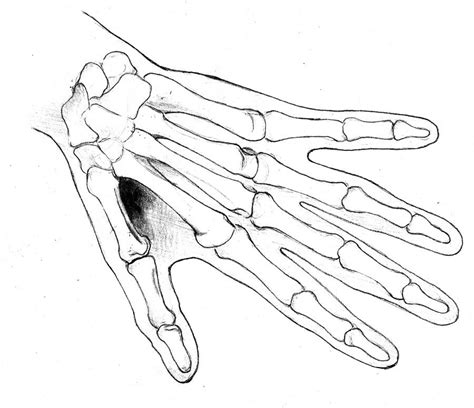 Skeleton Hands Drawing How To Draw Hands Easy Drawings