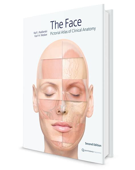 Face Skin Anatomy