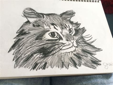My Drawings The Ugliest Cat Ever Wattpad