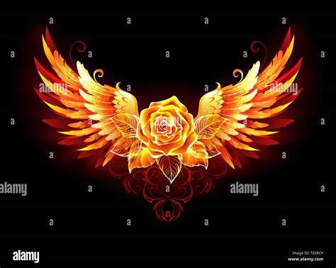 Share More Than 61 Rose On Fire Wallpaper Best Incdgdbentre