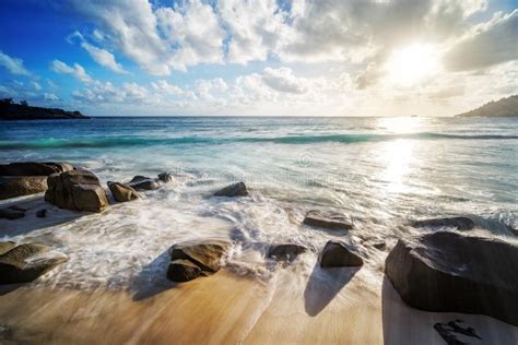 Granite Rockspalmswild Paradise Tropical Beachpolice