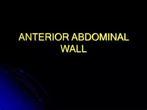 Ppt Anterior Abdominal Wall Powerpoint Presentation Free Download