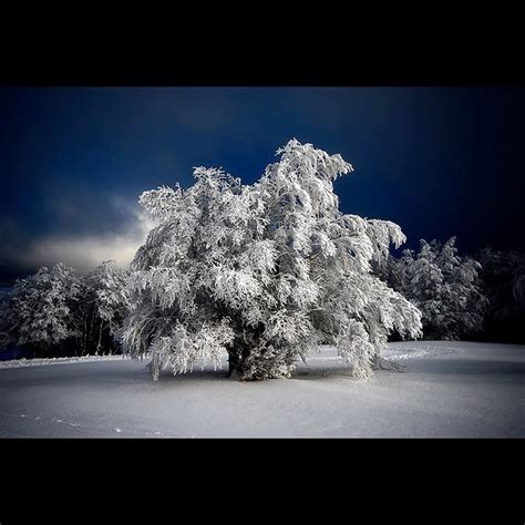 January White Photographer Inspiration Landscape Photography