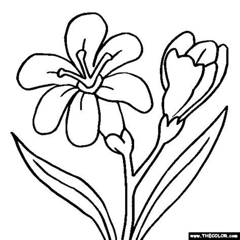 Wreath tattoo flower art flower drawing tutorials magnolia flower floral wreath drawing modern floral hand drawn flowers floral logo design flower drawing. Flower Coloring Pages | Color Flowers Online | Page 1