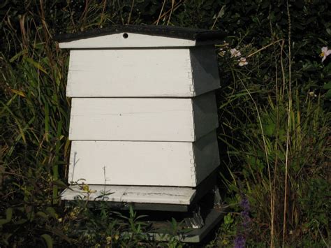 Beehive In The Garden Of The Beehive Cottage Artethgray Flickr