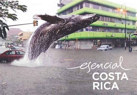 Costa Rica Meme Makers We Applaud You
