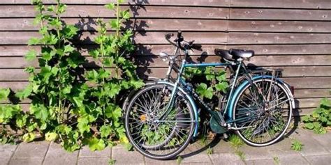 What to look out for, what are 1. What You Should Know Before Buying Used Bike Parts Online ...