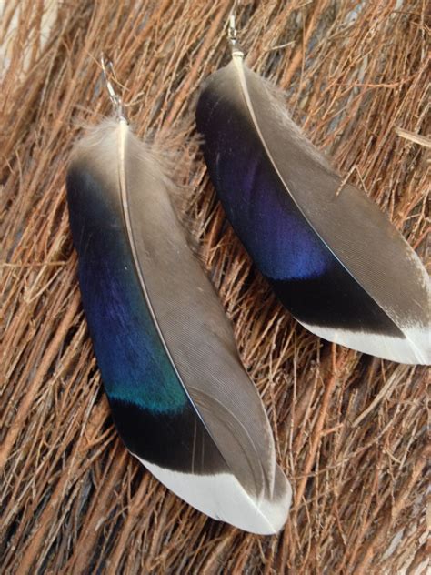 Pin On Feathers