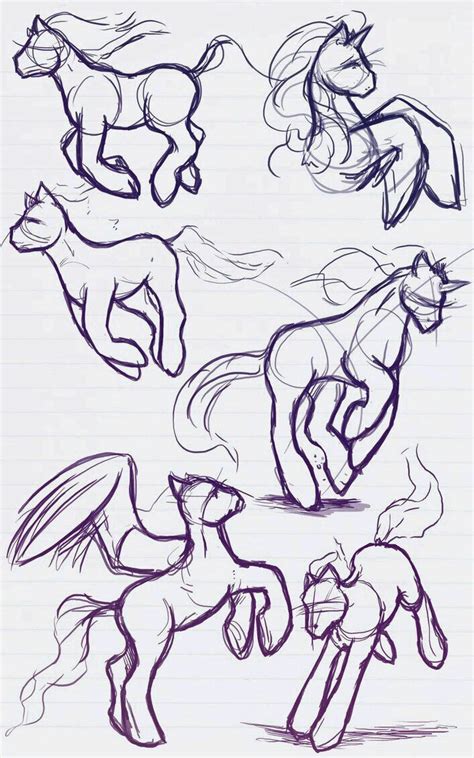 drawing anatomy pony reference pony poses my