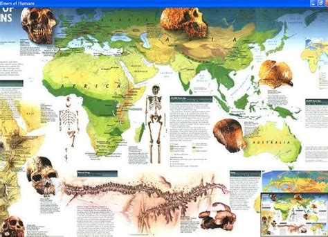 Map Human Evolution All Humans On Earth Originated From Somewhere In