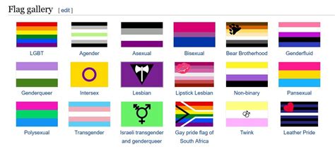 Pink All Lgbtq Flags And Meanings Lgbtq Colourways Lgbtq Quotes