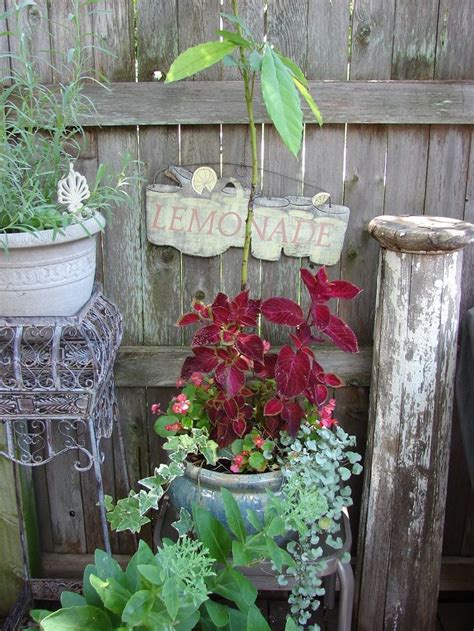 23 Best Shabby Chic Gardens Images On Pinterest Outdoor