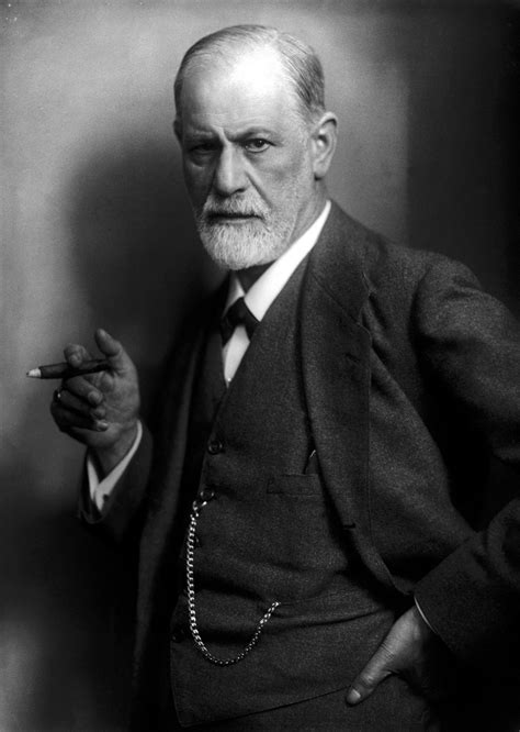 What did sigman froid study? Sigmund Freud - Wikiwand