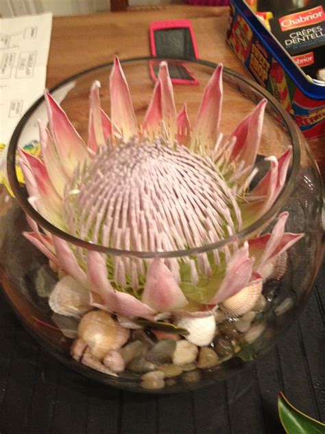 My Wedding Centre Piece King Protea In A Fish Bowl On Pebbles Sea