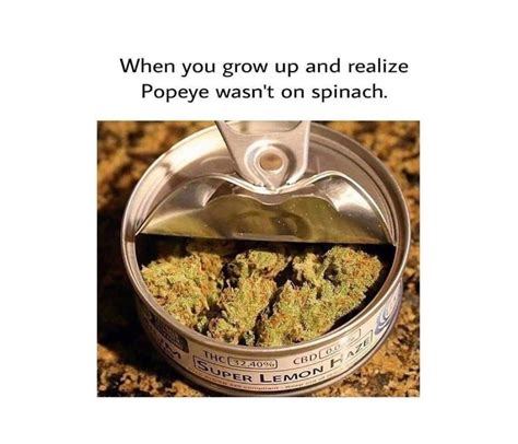 Funny Weed Memes Ideas For Stoners