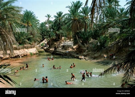 Playing Children Oasis Of Nefta Tunisia Stock Photo 2554787 Alamy