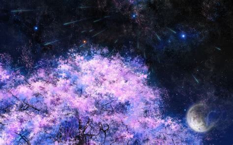 Download This Wallpaper Anime Night Sakura Tree 1560135 Hd