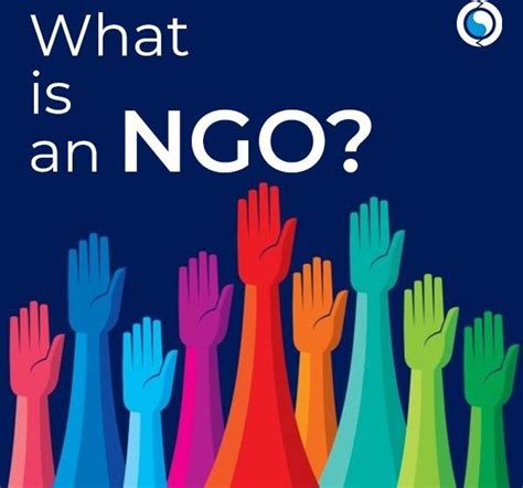 What Is An Ngo And Why Are They Important To Support Kanexon Blog