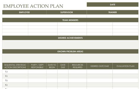 Task Action Plan Template