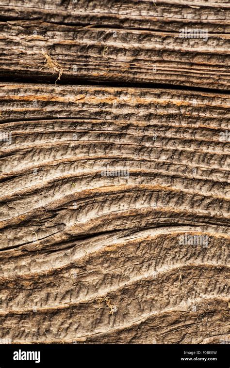 Deep Wood Grain Texture On A Piece Of Weathered Wood Stock Photo Alamy