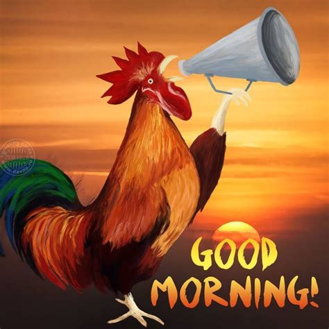 Good Morning Country Rooster Доброе утро Открытки Рисунки петухов