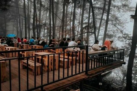 5 Kafe Yang Berada Di Tengah Hutan Pinus Sejuk Dan Estetik