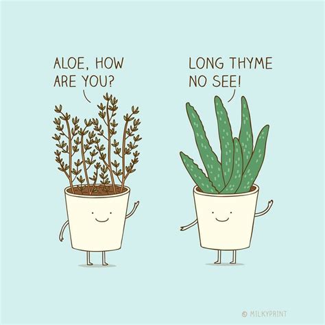 Funny Pun Plant Humor Funny Puns Funny Illustration Funny Doodles
