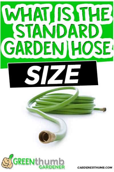 What Is A Standard Size Garden Hose Thekitchenknow