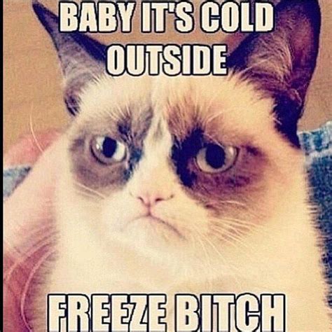 Grumpy Cat Cold Funny Cats Baby Cold Grumpy Cat Cold
