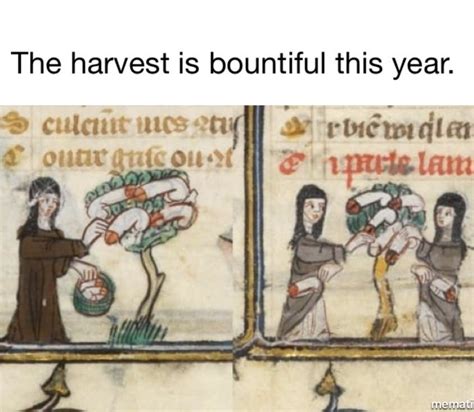 Bountiful Harvest Meme By Password Memedroid