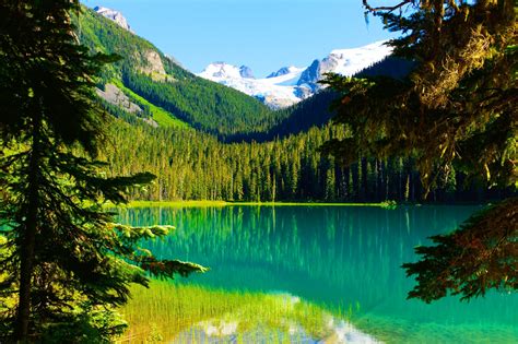 Nature Landscape Trees Lake Mountains Forest Summer Water Snowy