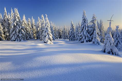 下载壁纸 冬天 雪 树 漂移 免费为您的桌面分辨率的壁纸 6048x4032 — 图片 №643184