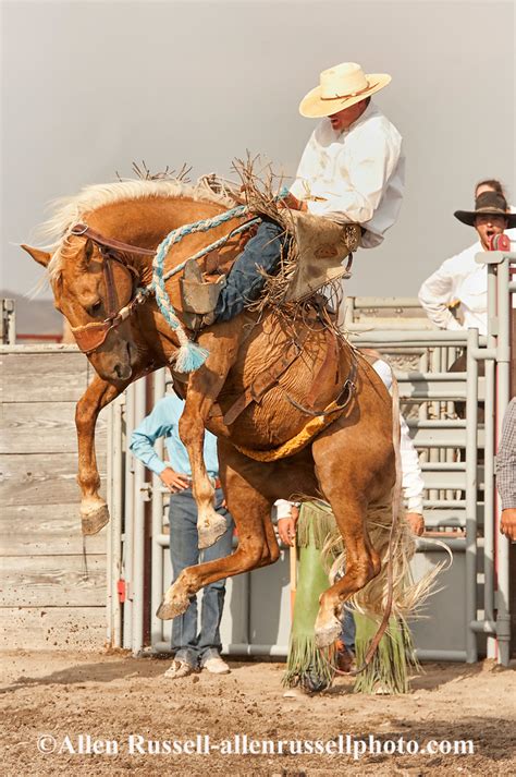Quinn Larsen in Ranch Bronc Riding at Hardin Montana Ranch Rodeo