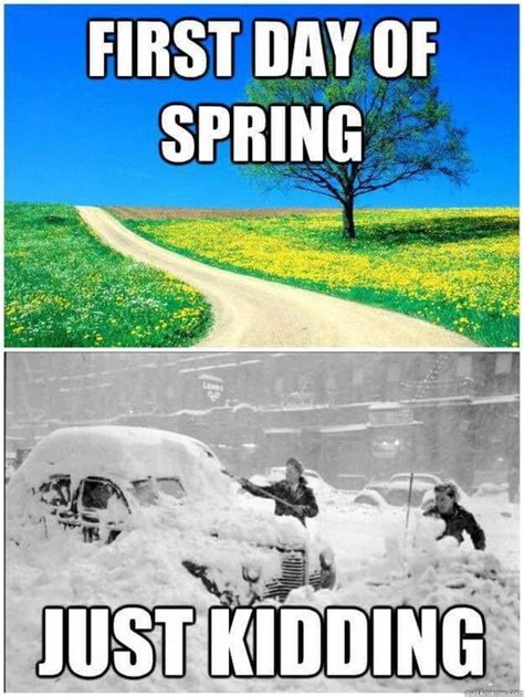 Funny 2024 Spring Memes To Welcome Warmer Weather Lola Lambchops