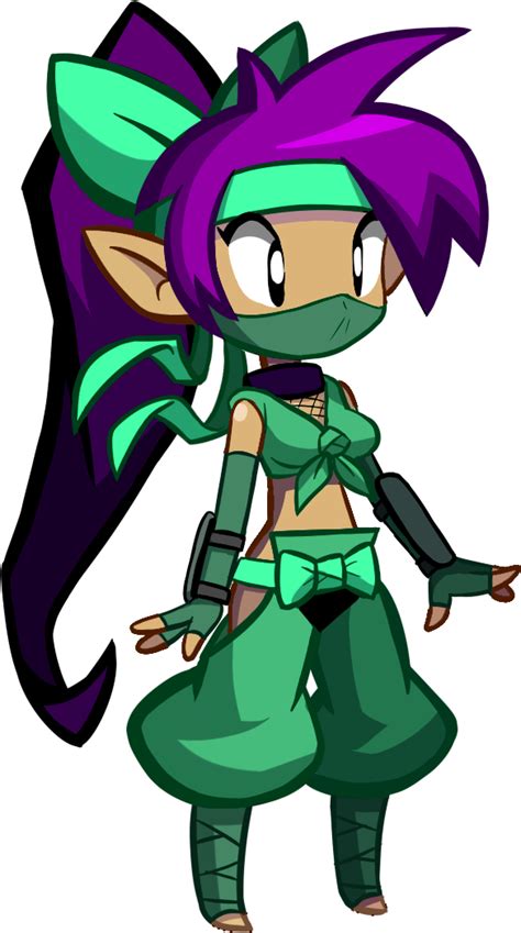 Image Shantae Ninja Costumepng Fantendo Nintendo Fanon Wiki