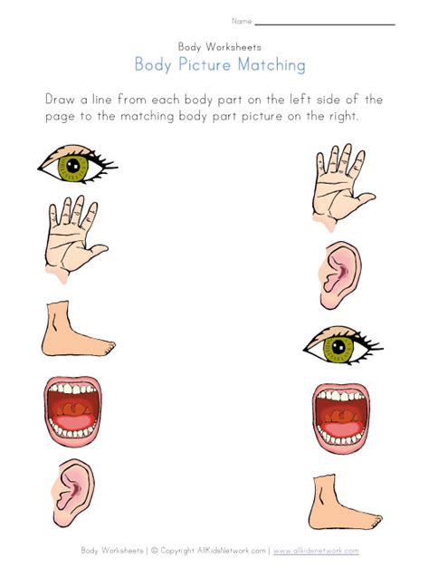 We'll add more parts in grade 1! Coloring Pages: View And Print Your Body Matching ...