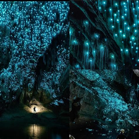 Waitomo Glowworm Caves In New Zealand Looks Like Pandora At Night R