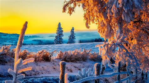 🔥 Download Beautiful Winter Sunrise 4k Ultra Hd Wallpaper By