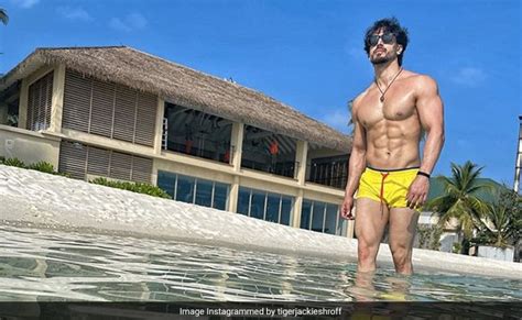 Tiger Shroff Flaunts Abs In Yellow Hot Pants In Pic From Maldives Fans