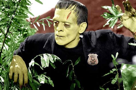 Cbs Orders A Frankenstein Drama Pilot