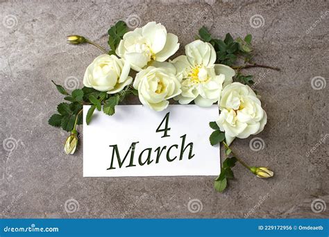 March 4th Day 4 Of Month Calendar Date White Roses Border On Pastel