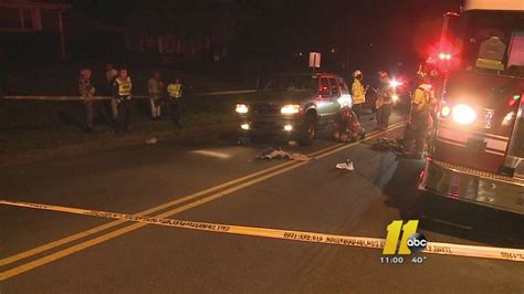 Woman In Critical Condition After Trying To Help A Dog Hit By Car In