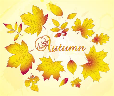 Golden Autumn Leaves Vector Background Vectors Graphic Art Designs In