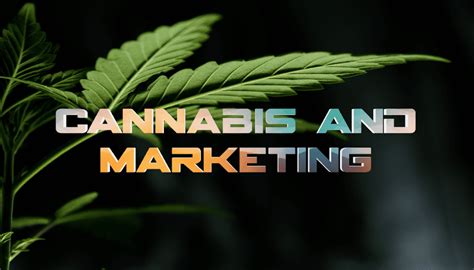 Cannabis And Marketing Pufcreativ Blog