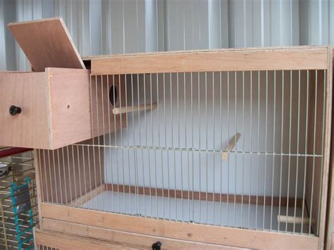 Diy Bird Cage Bird Cage Design Cockatiel Cage Budgies Bird Budgie