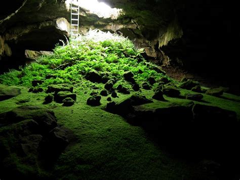 Fern Cave Flickr Photo Sharing Landscape Photo Explore